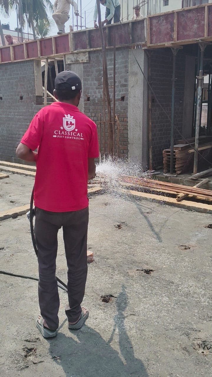 Bird netting installation